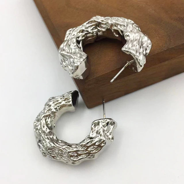 Silver Hoops Earring