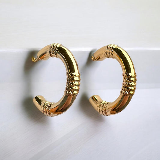 Golden Toned Hoops Earring